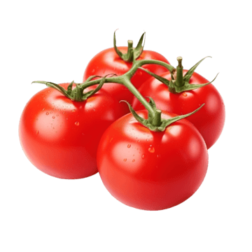 Fresh Tomatoes